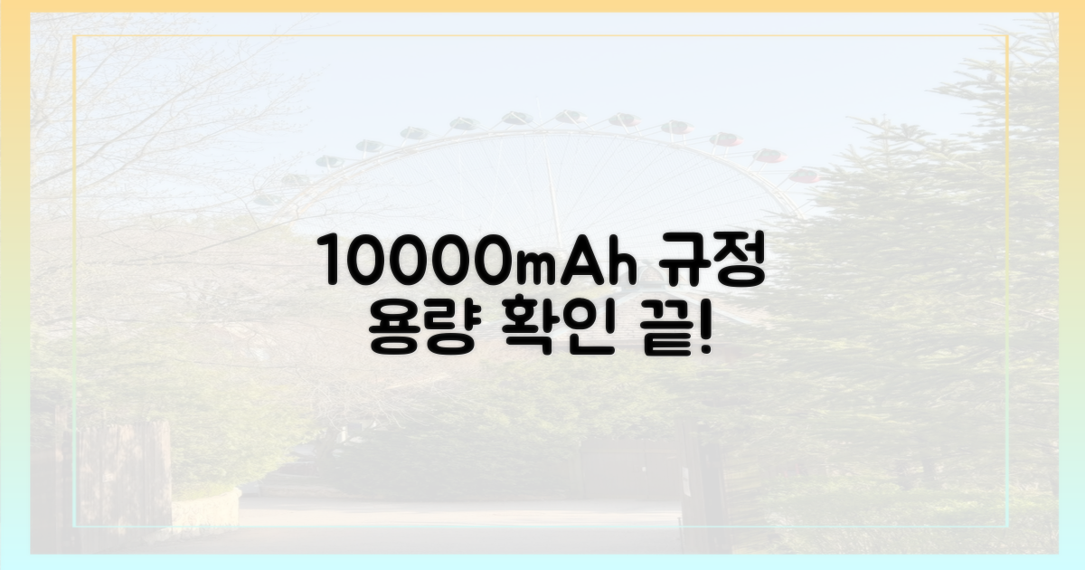 10000mAh 규정 확인하기