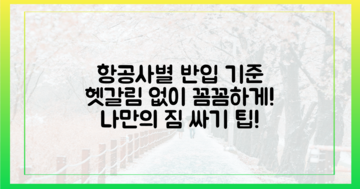 항공사별 반입 기준, 꼼꼼히 확인하세요