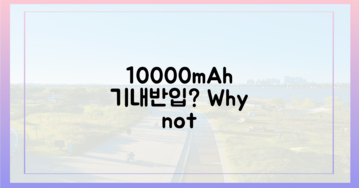 10000mAh, 왜 기내로?