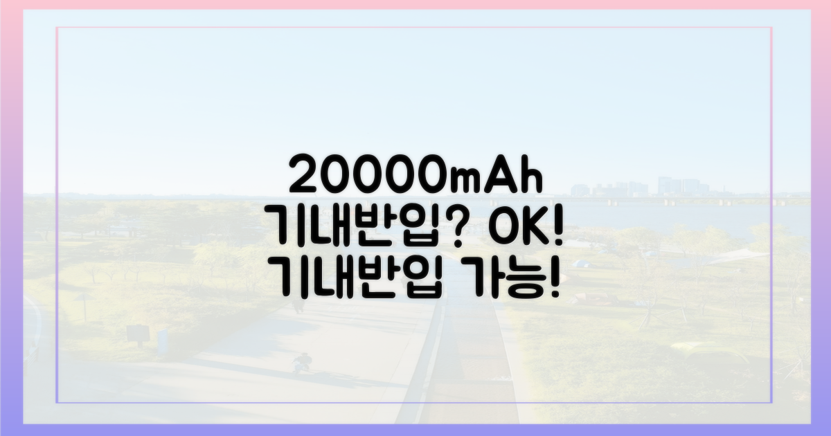 20000mAh 보조배터리, 기내 반입 가능할까?