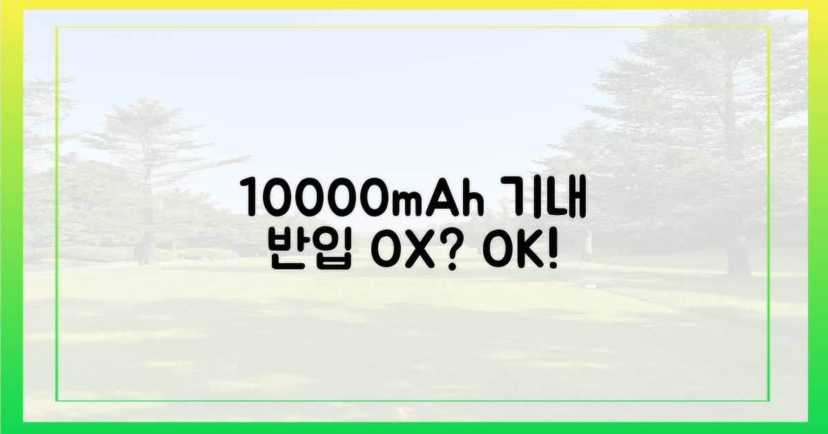 10000mAh, 기내 반입 가능?