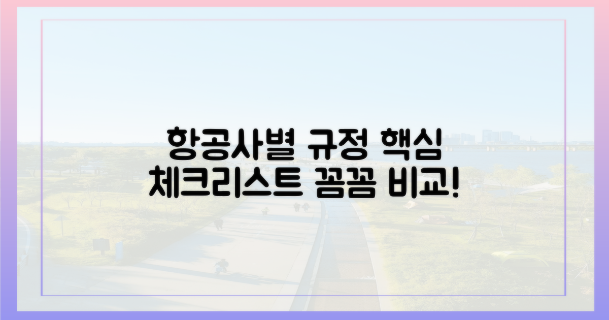 항공사별 규정 비교 및 체크리스트