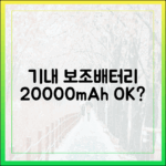 기내 반입 보조배터리 용량 제한, 20000mAh는 정말 괜찮을까?