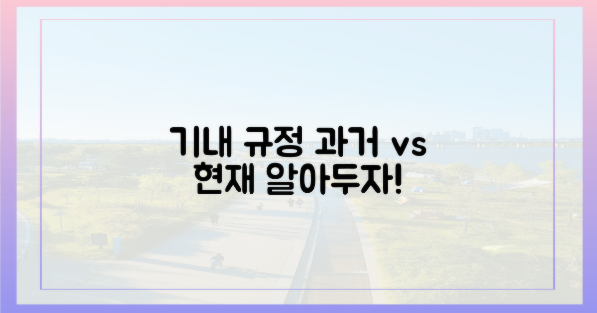 기내 휴대 규정, 과거와 현재