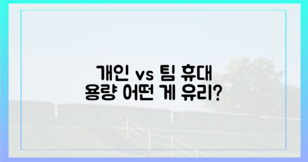 개인 vs 단체 휴대 용량