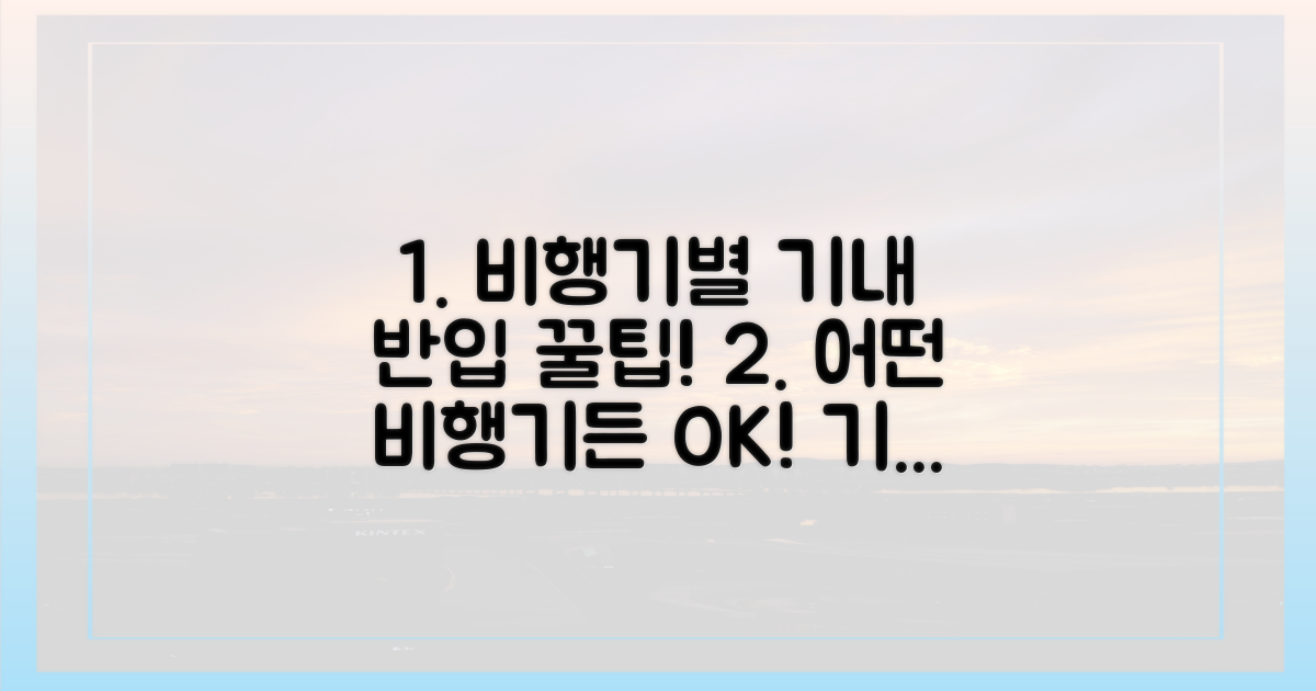 비행기 종류별 휴대 가능성