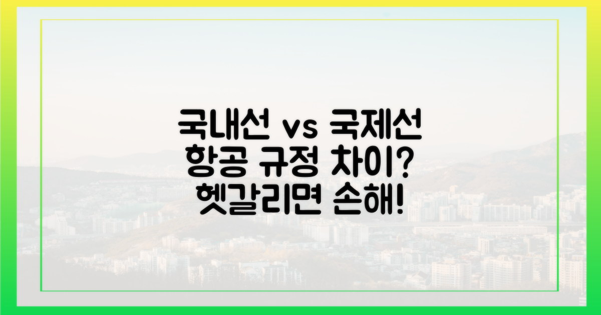 국내선 vs 국제선 규정 차이