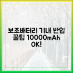 "내 보조배터리는 소중하니까" 10000mAh 안전하게 기내 반입하기