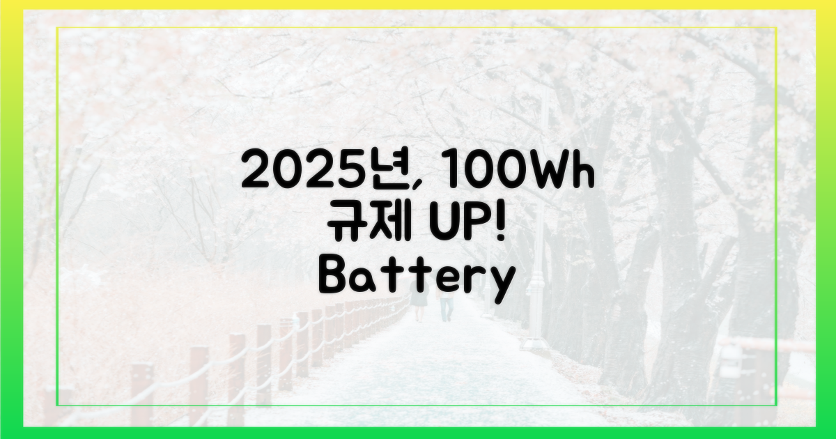 2025년, 100Wh 초과 시 규제 변화
