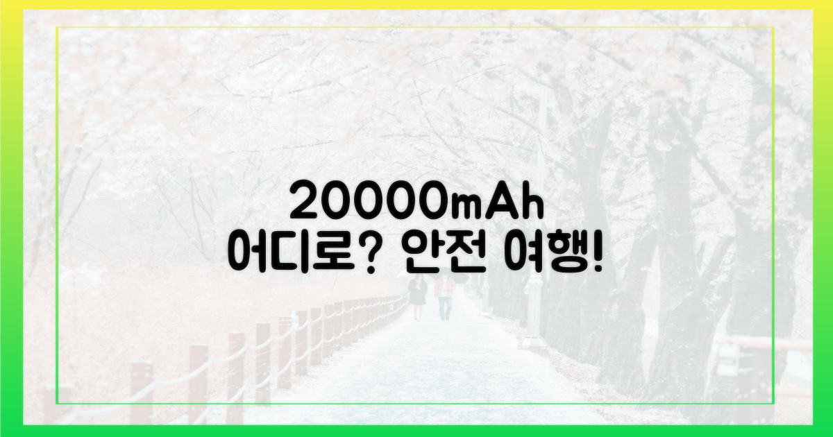 안전한 여행, 20000mAh 어디로?