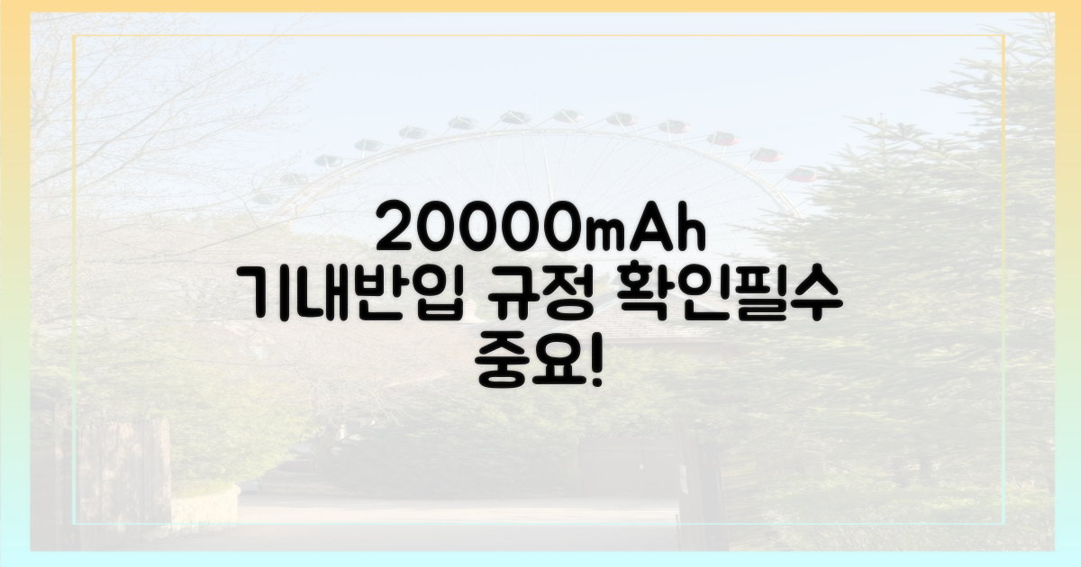 20000mAh, 기내반입 규정 확인하세요!