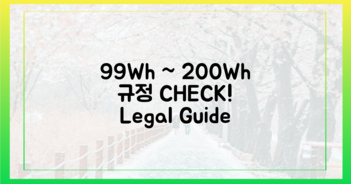 99Wh, 200Wh 사이 규정 확인