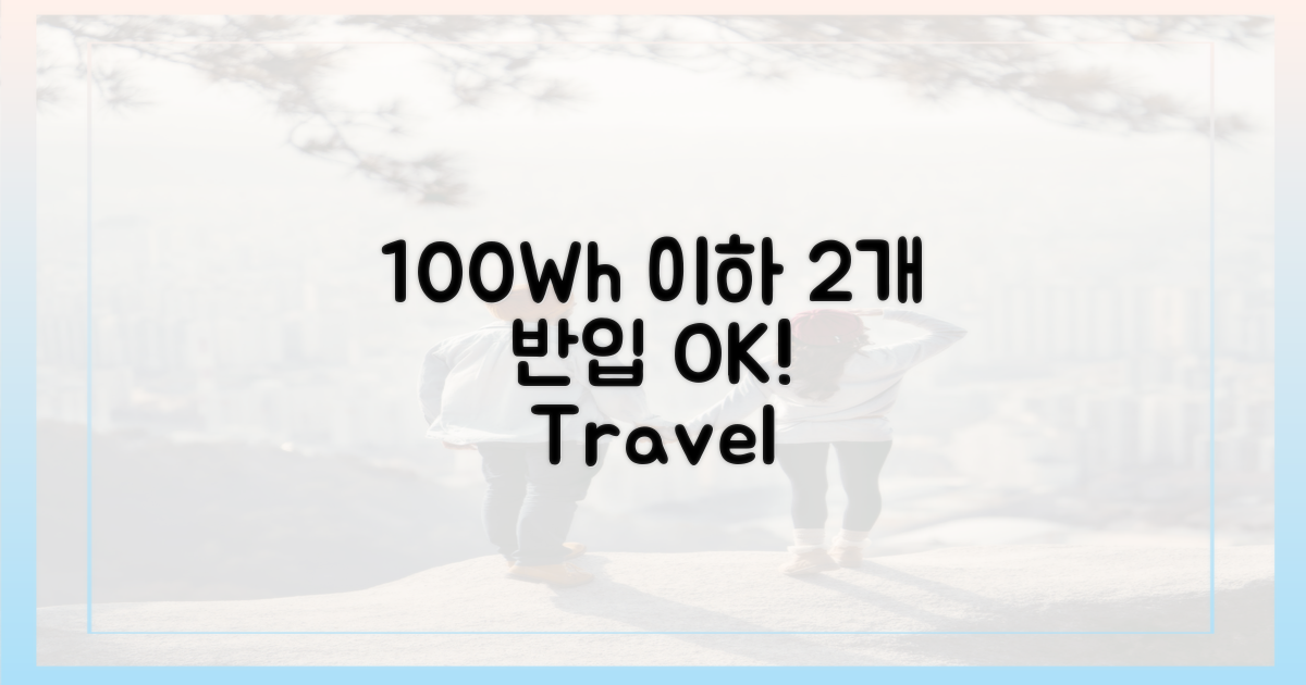 100Wh 이하, 2개 반입 가능