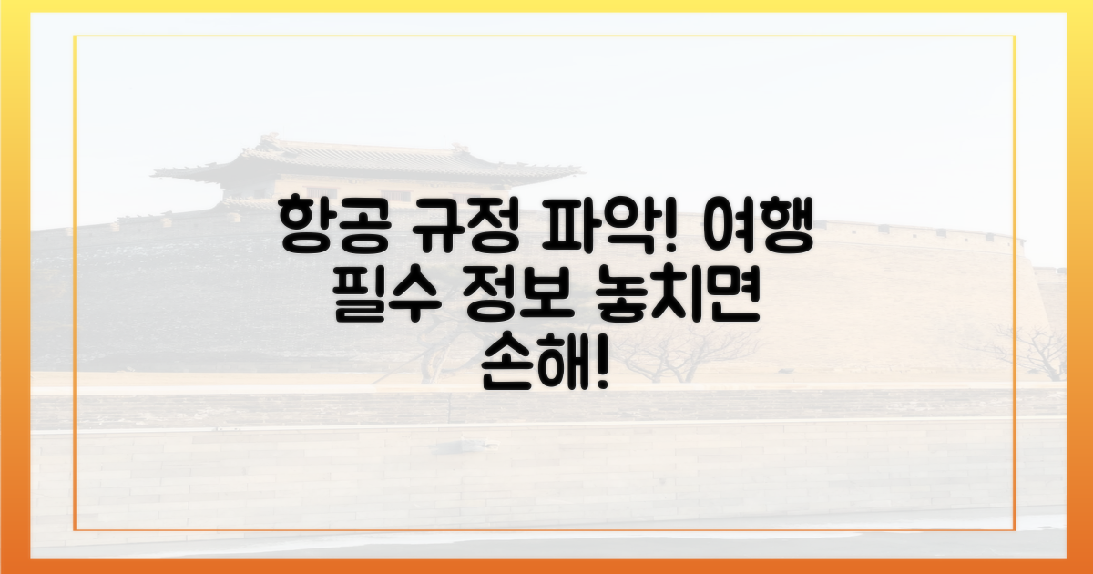 항공사 규정을 미리 파악하세요