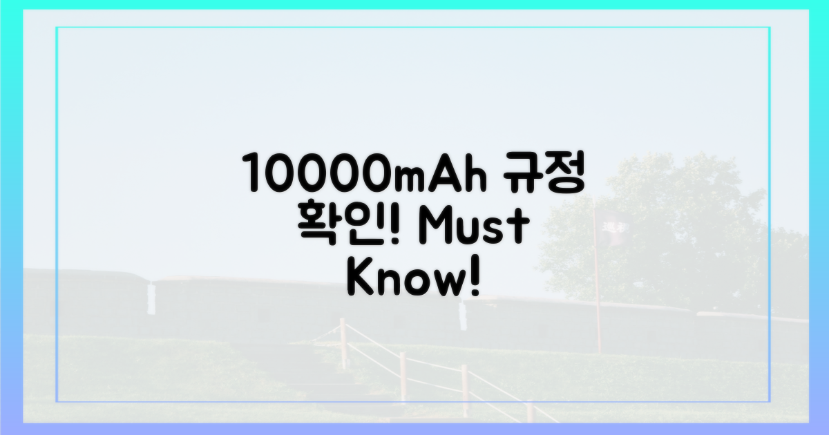 10000mAh 규정을 확인하세요