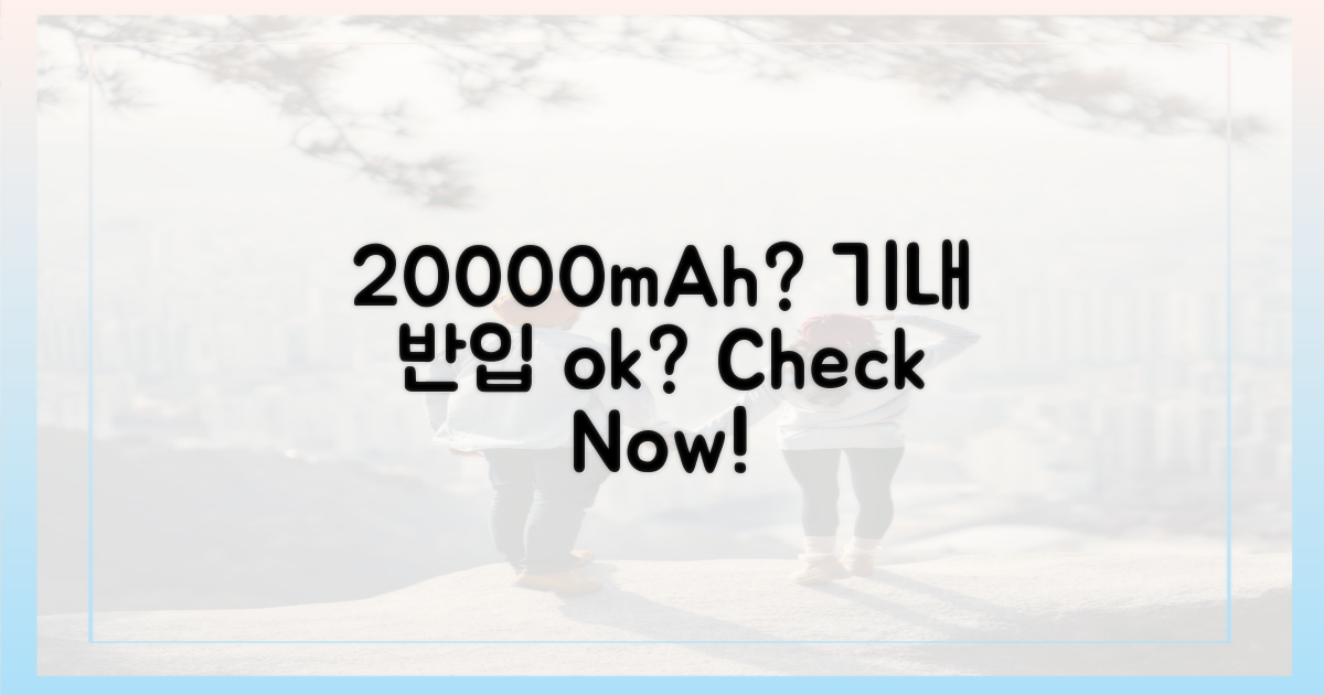 20000mAh 보조배터리, 기내 반입될까?