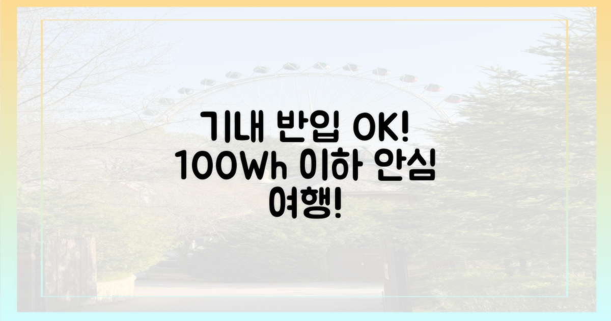 100Wh 이하: 안심하고 기내 반입