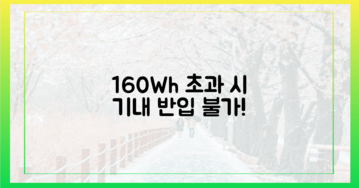 160Wh 초과: 기내 반입 불가