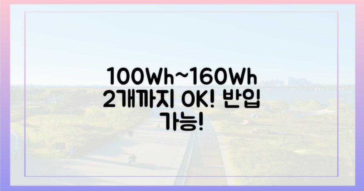 100Wh 초과 160Wh 이하: 2개까지 승인