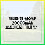 해외여행 필수품 20000mAh 보조배터리, 항공사별 반입 규정 비교 분석