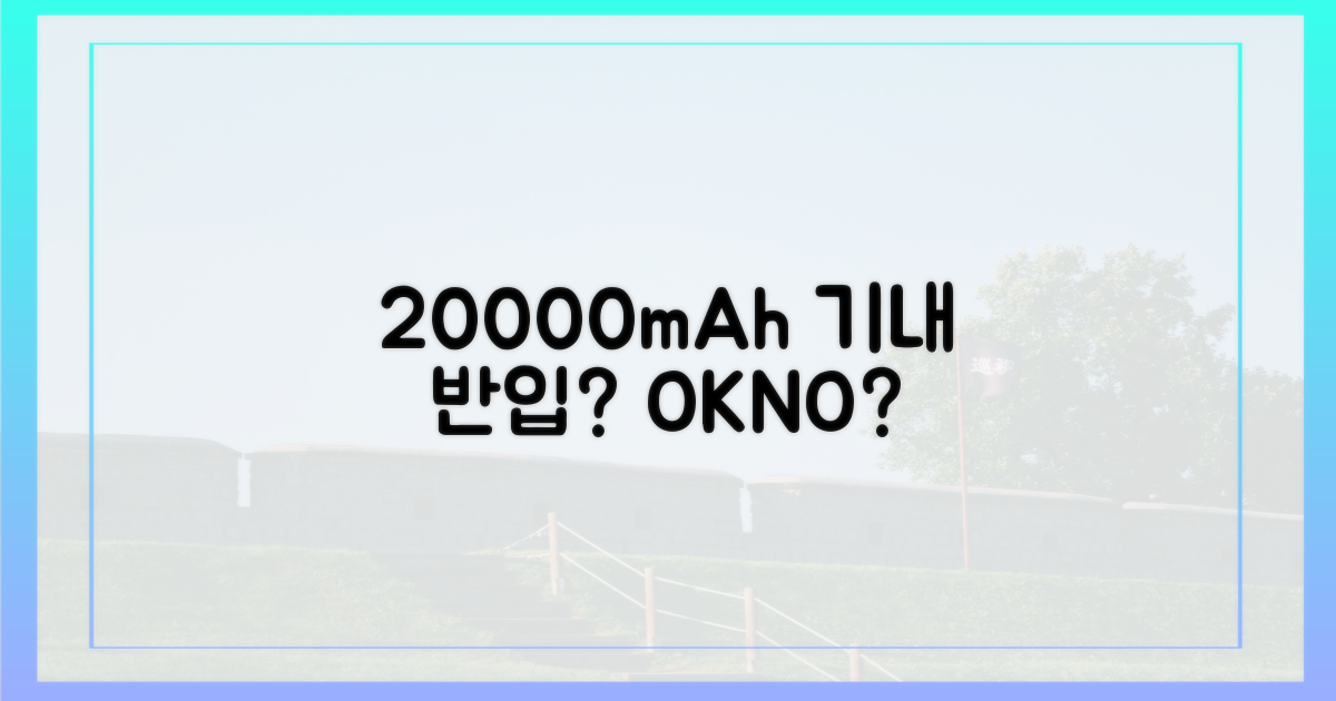 20000mAh, 기내 반입될까?
