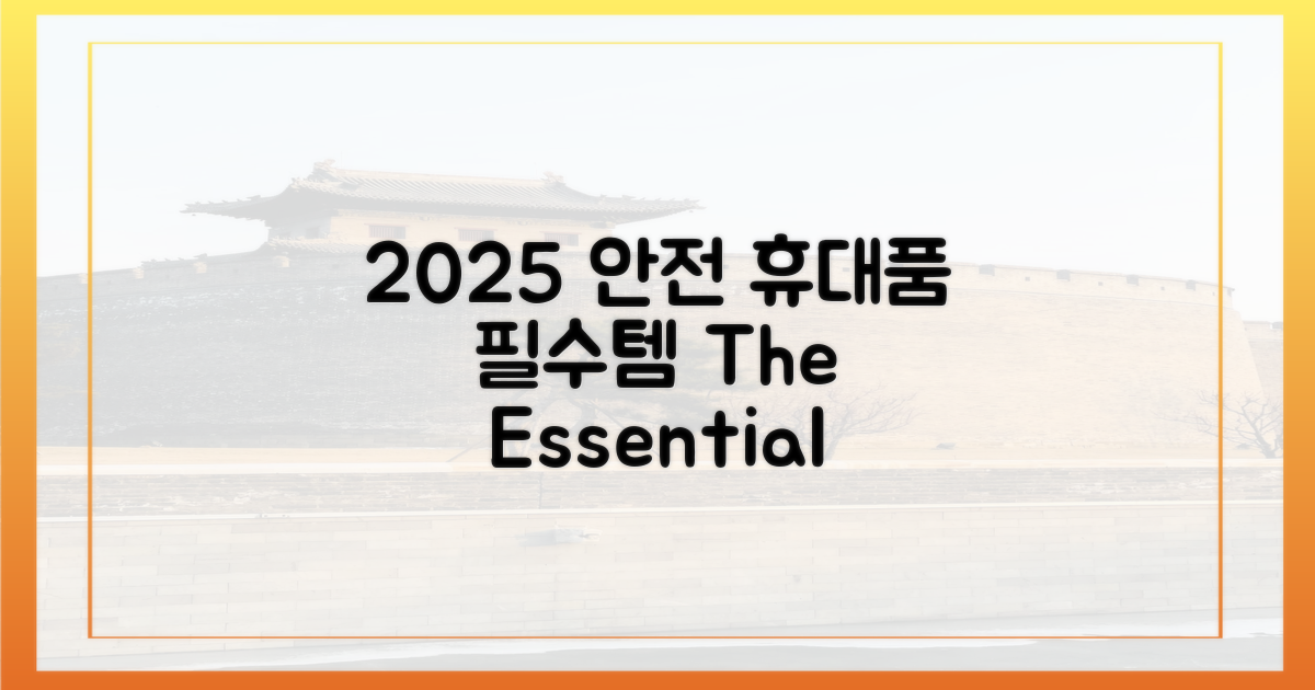 2025년, 안전한 휴대품