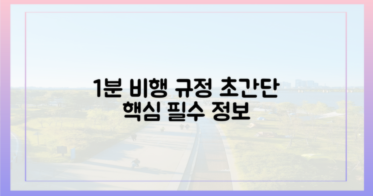 1분 만에 비행기 규정