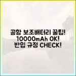 공항에서 보조배터리 뺏기지 않는 법 (10000mAh 기준)