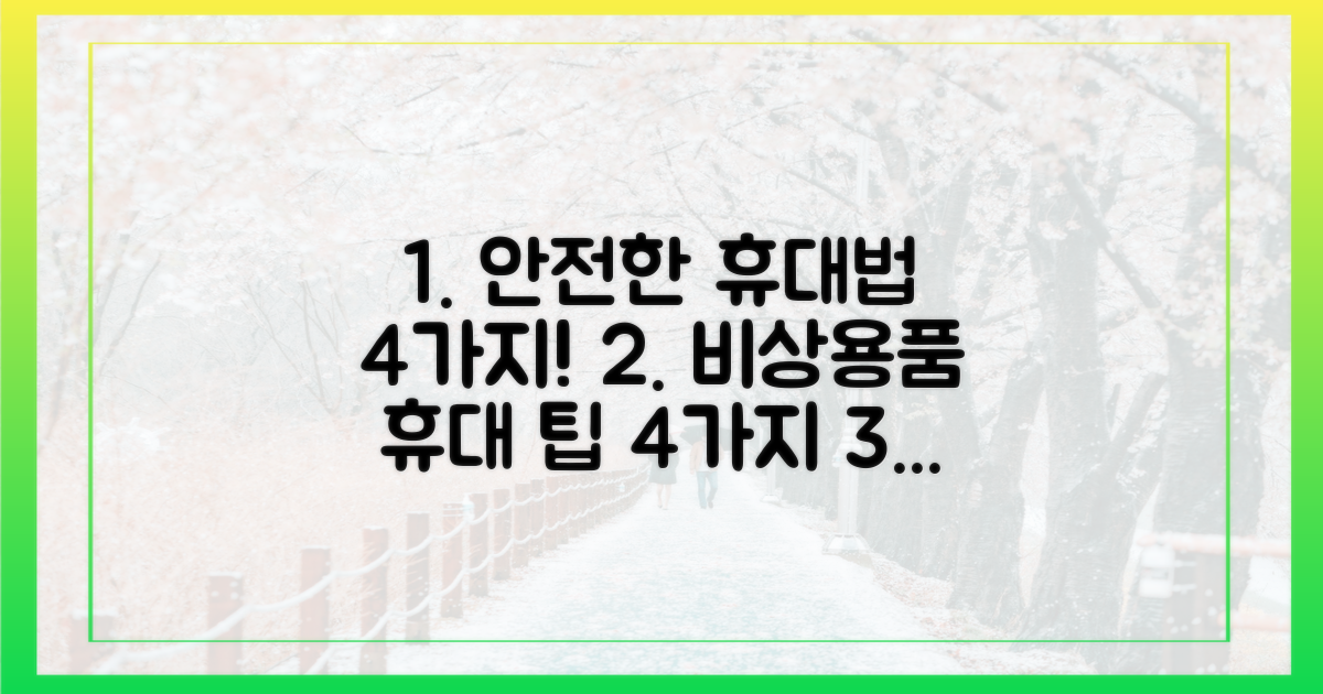 4가지 안전한 휴대법