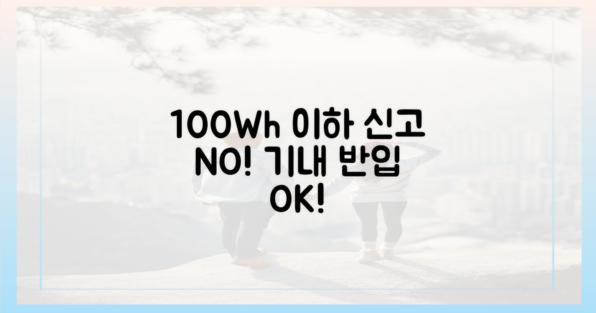 100Wh 이하, 별도 신고 불필요