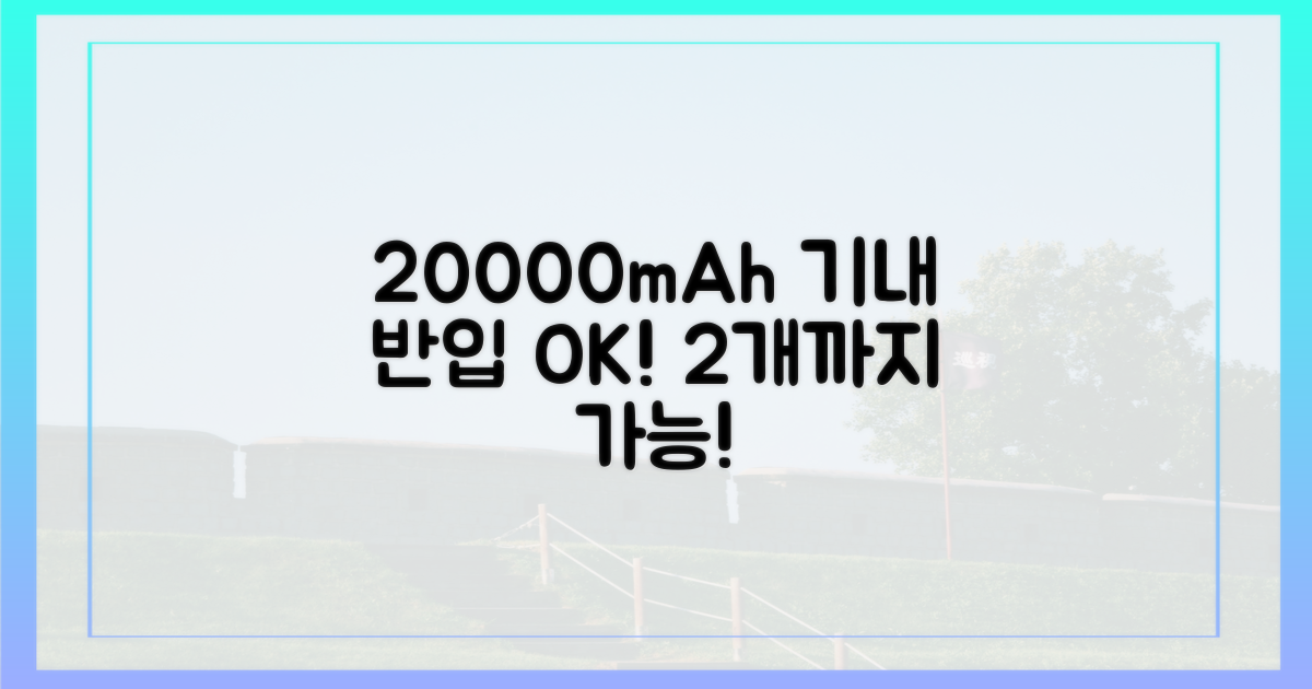 20000mAh, 2개까지 기내 반입 가능