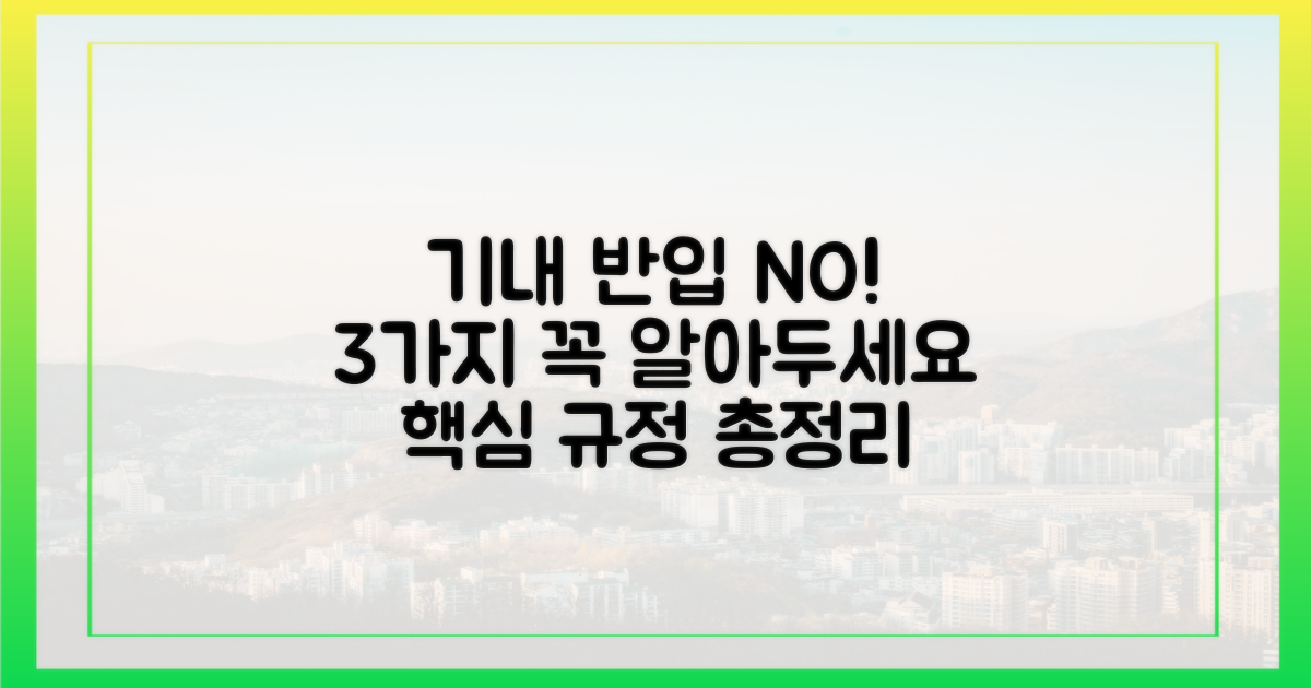3가지 기내 반입 규정