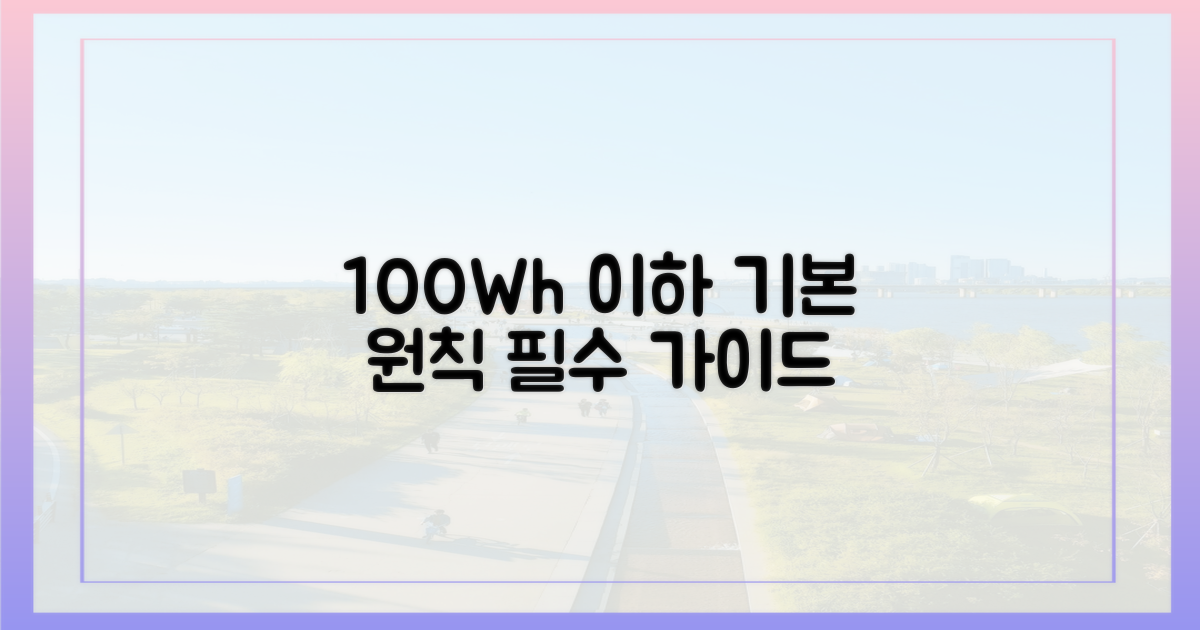 100Wh 이하 기본 원칙
