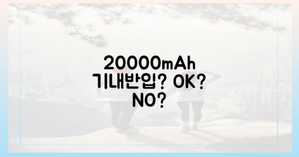 20000mAh, 기내 반입 될까?