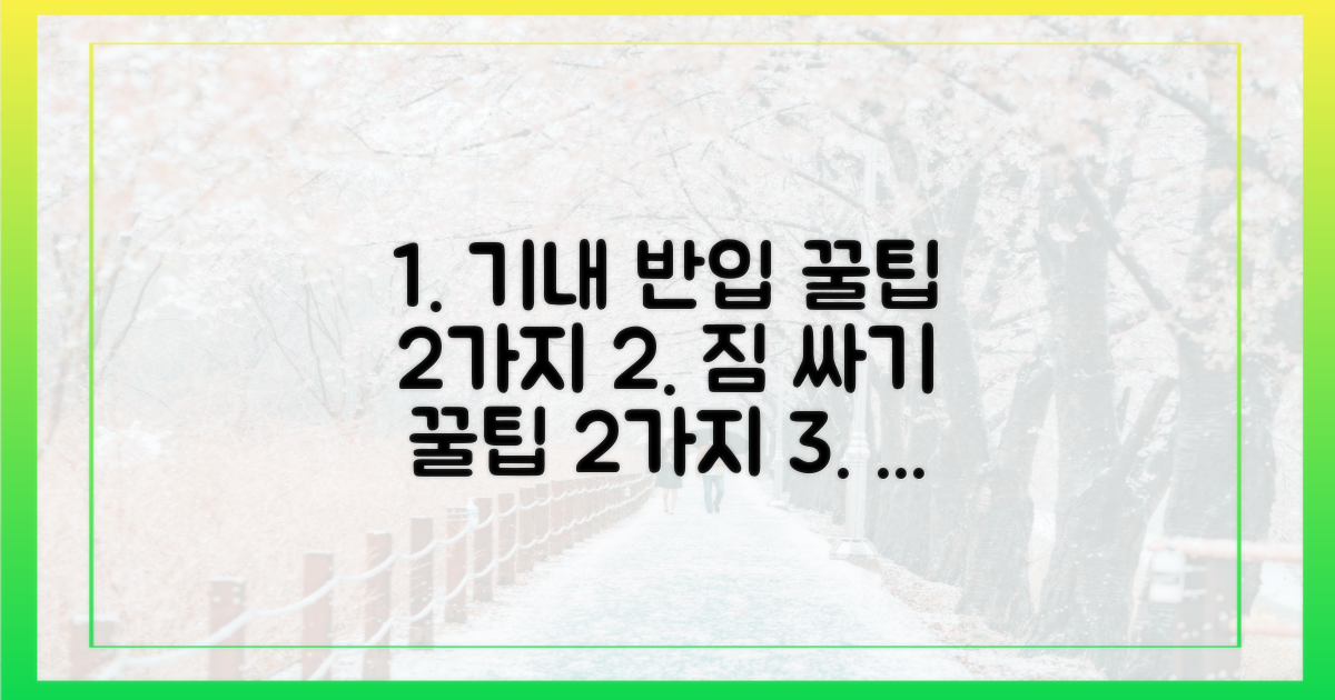 2가지 기내 반입 팁