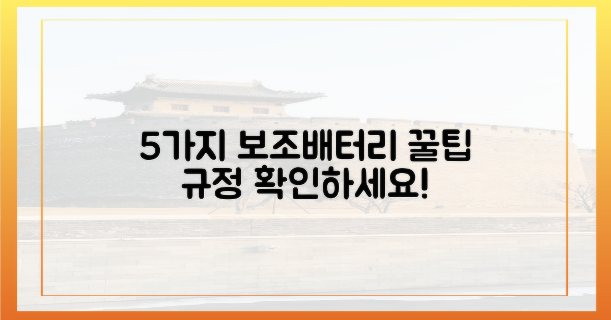 5가지 보조배터리 규정