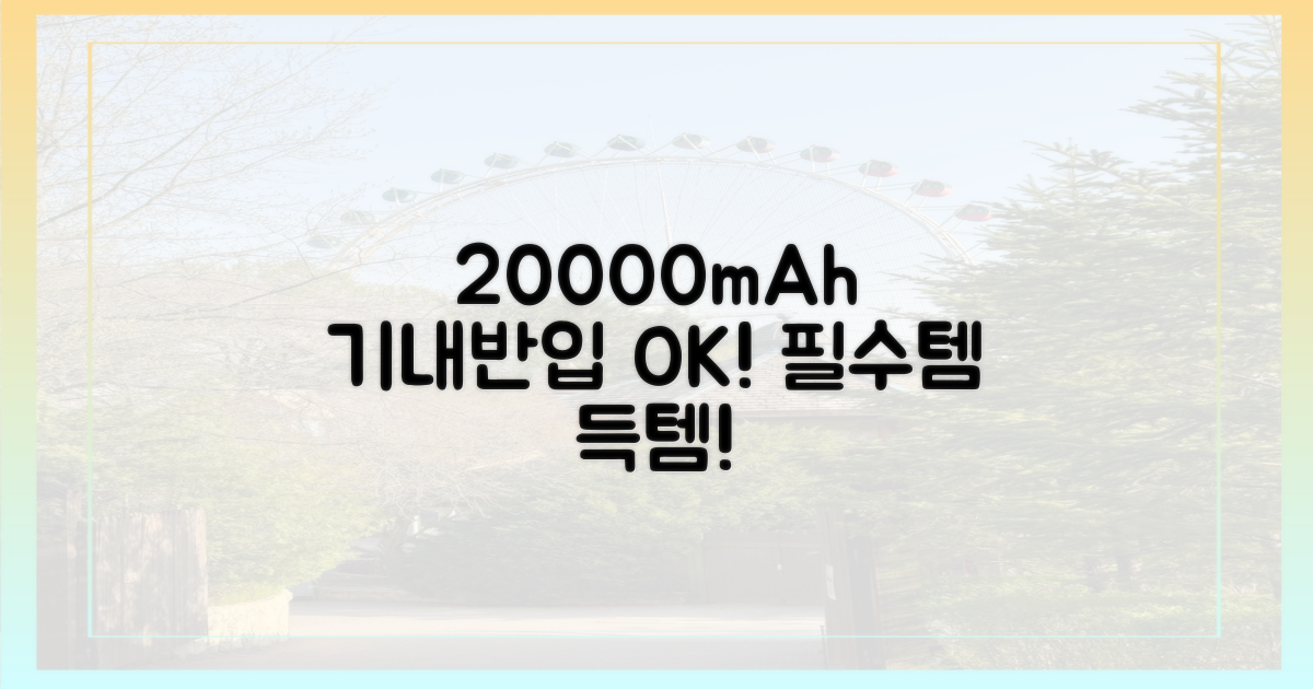 20000mAh 보조배터리, 기내반입 필수템