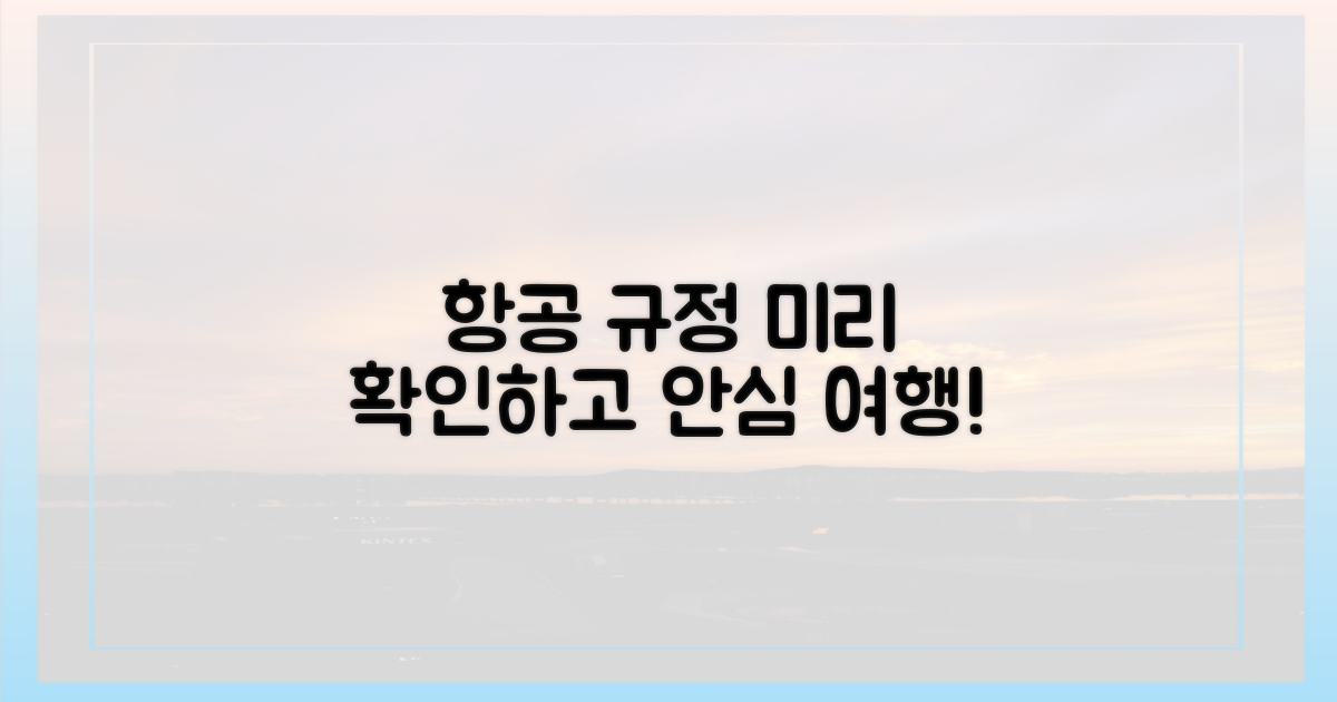 항공 규정, 미리 확인하세요