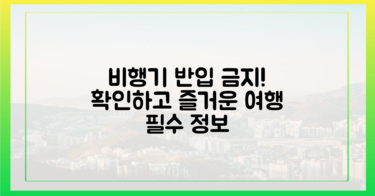 비행기 반입 규정 확인