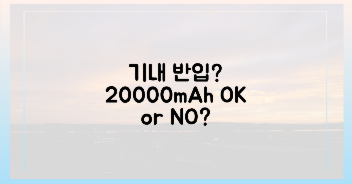 20000mAh, 기내 반입 가능할까?
