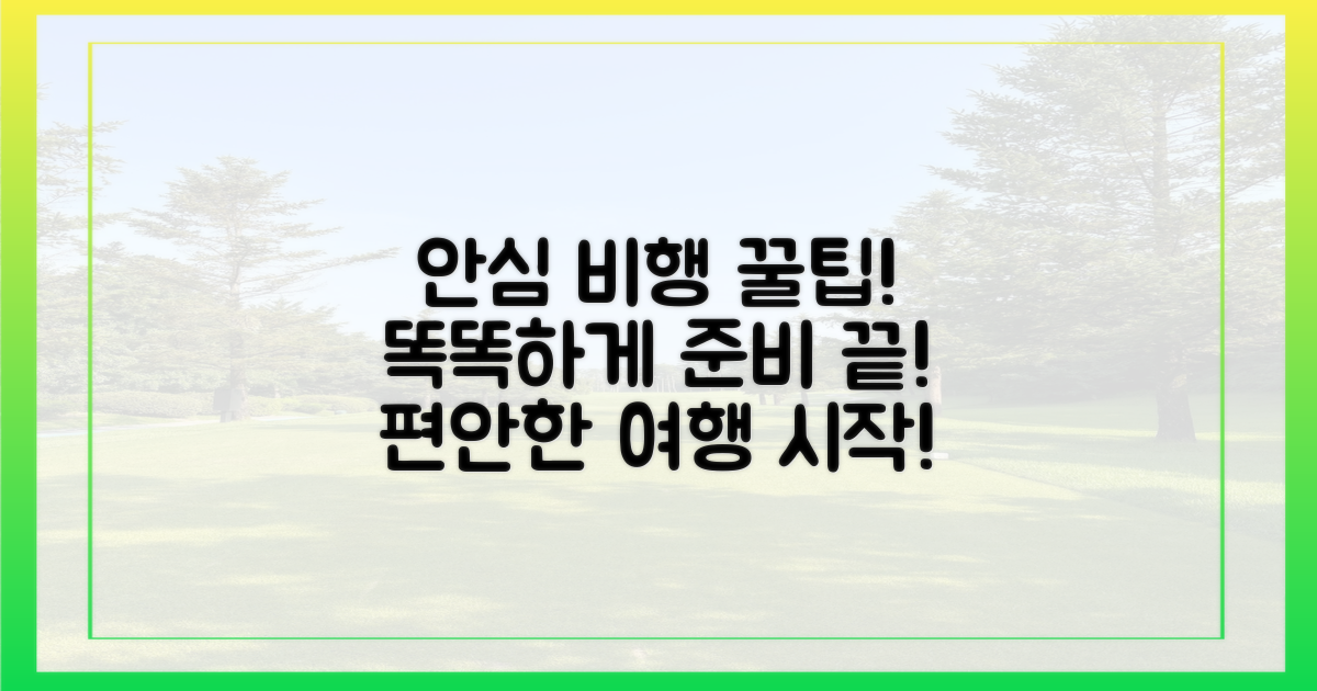 똑똑하게 챙겨 안심하고 비행하세요!