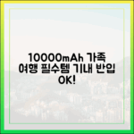 가족 여행 필수품, 10000mAh 보조배터리 여러 개 기내 반입 A to Z