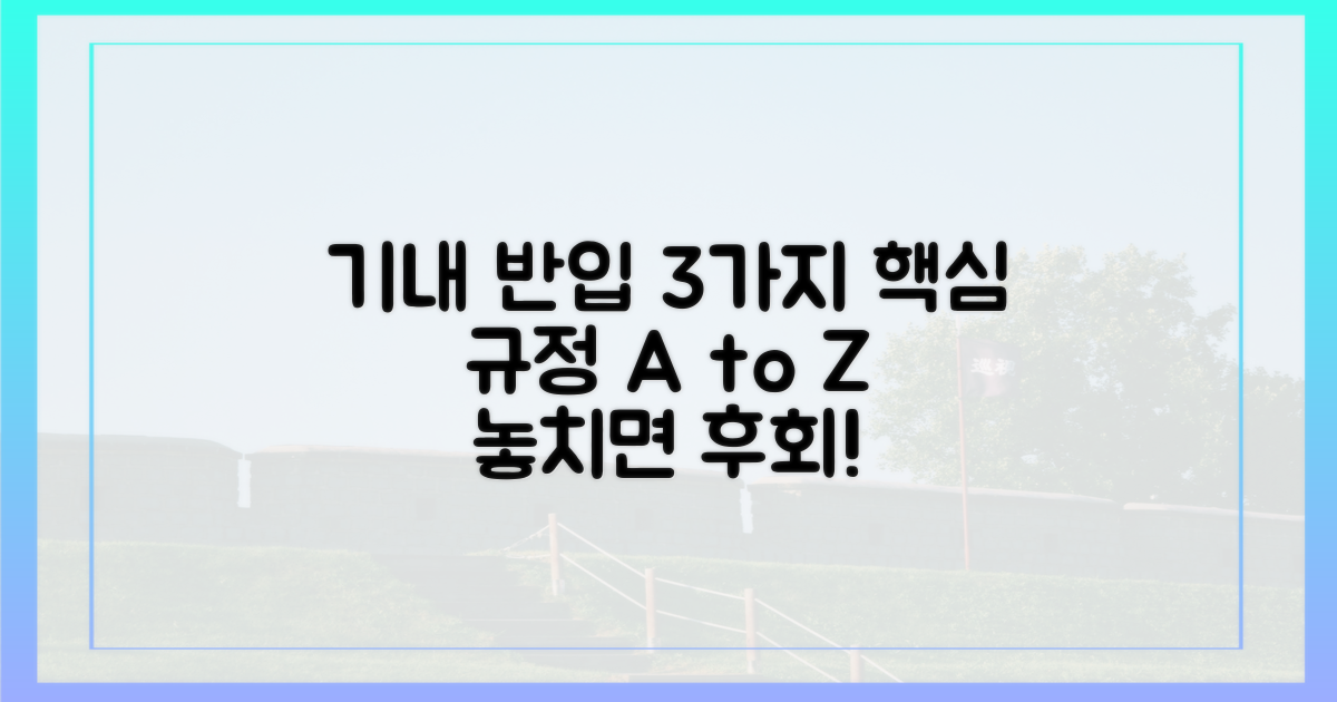 3가지 기내 반입 규정
