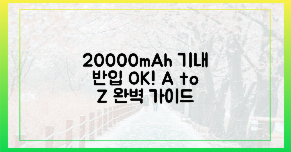 20000mAh 보조배터리, 기내 반입 규정 A to Z