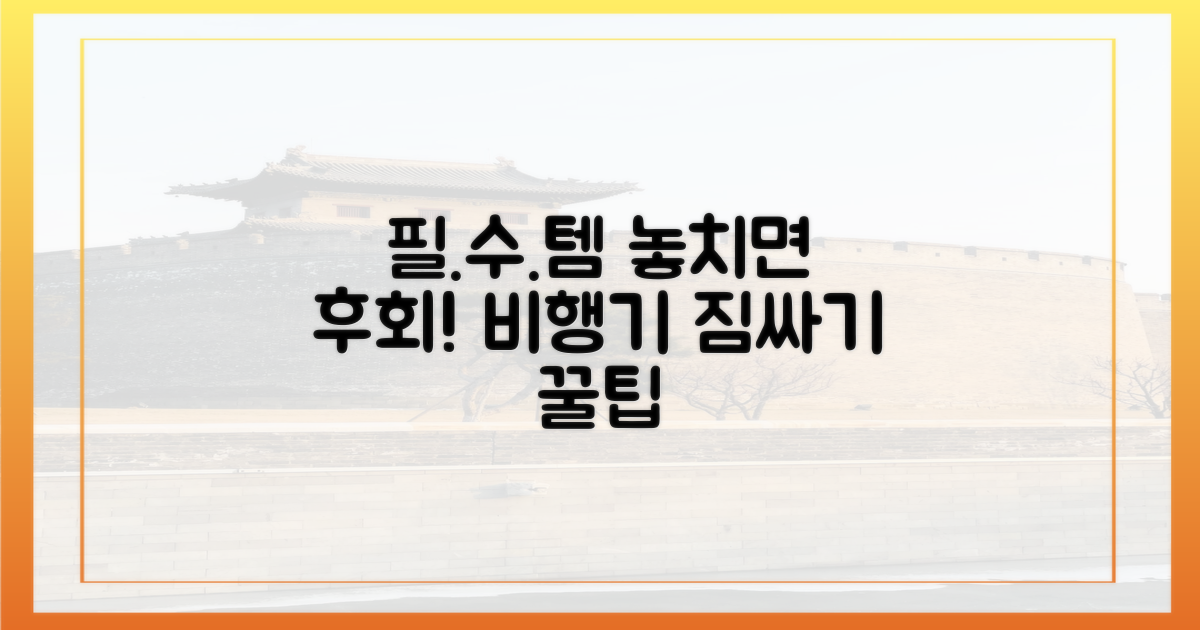 비행기 탈 때 꼭 챙겨야 할 필수품