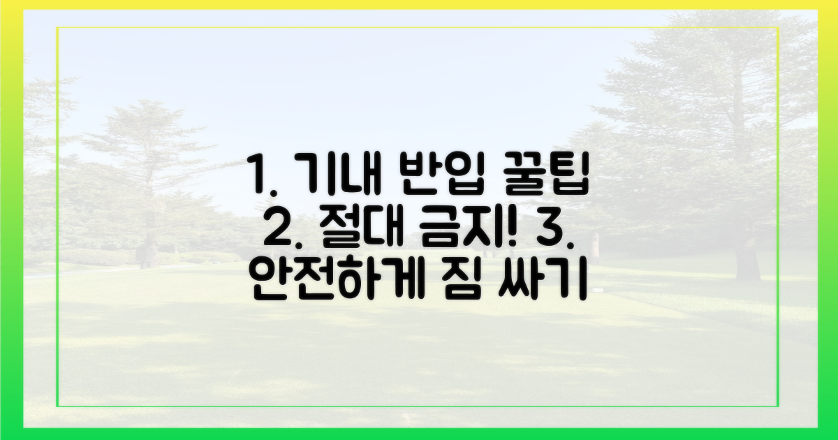 안전하게 기내 반입하는 꿀팁