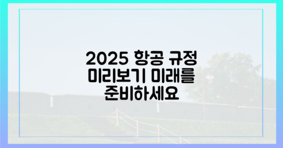 2025년 항공 규정 미리보기