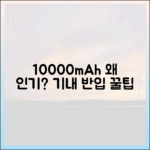 수많은 보조배터리 중 왜 10000mAh가 기내 반입용으로 가장 인기 있을까?