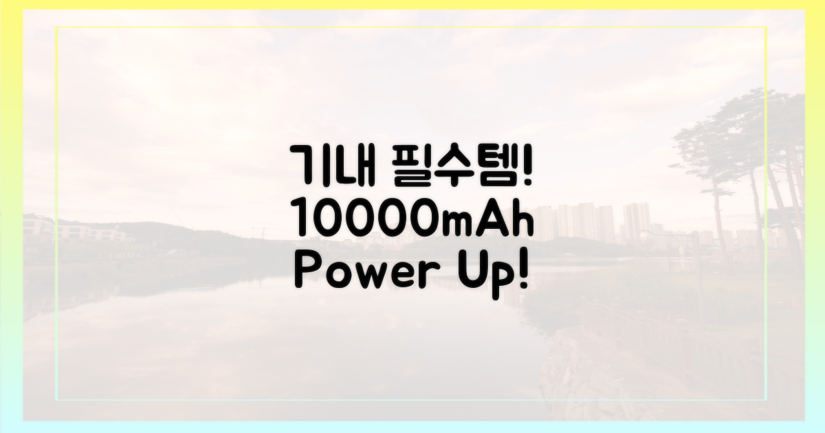 항공 규정, 10000mAh가 정답