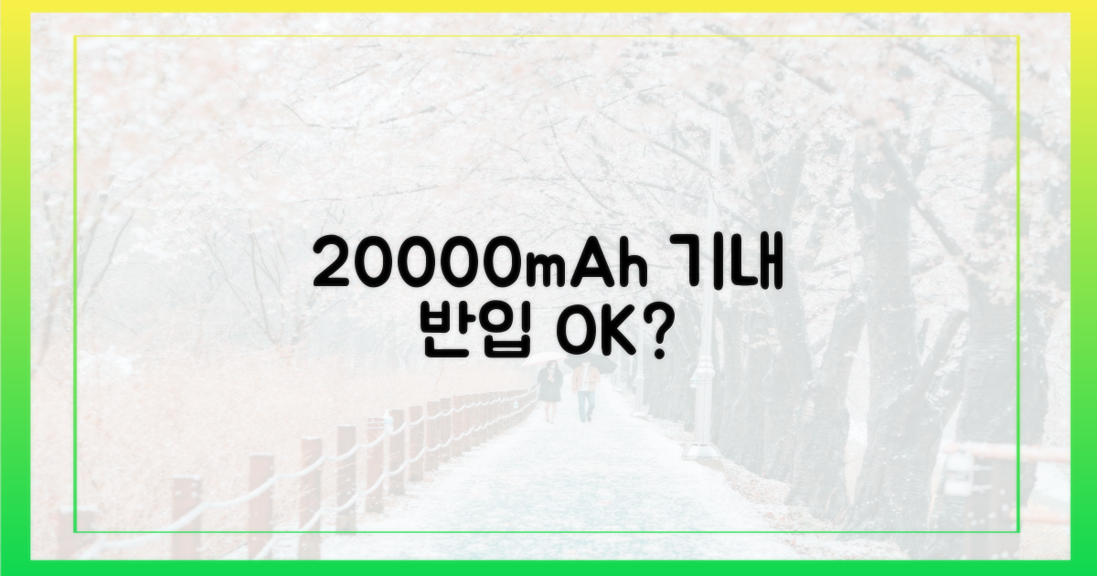 20000mAh, 기내 반입 가능할까?